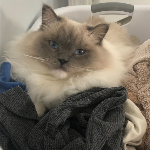 REBRANDING!! - Picture 3 of 13